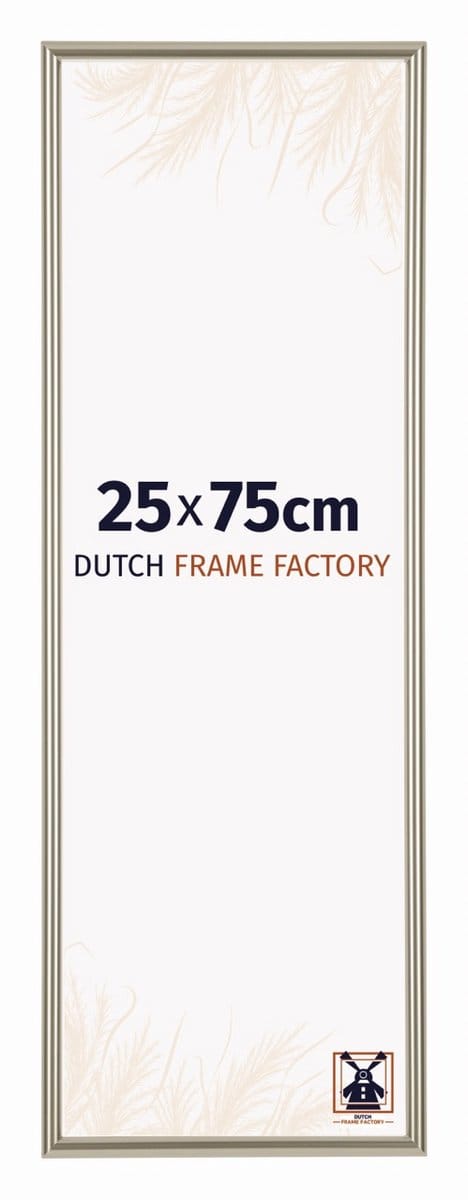 Fotolijst 25x75 cm - Kunststof - Champagne - Angers
