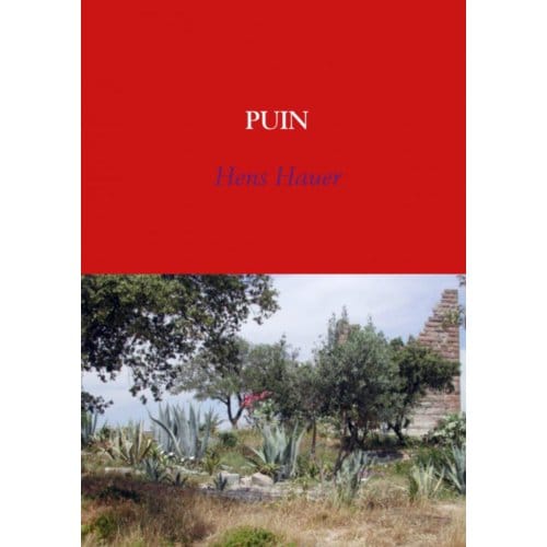Puin - Hens Hauer