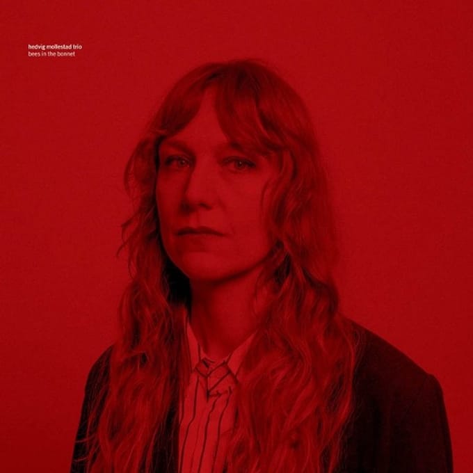 Hedvig Mollestad - Bees In The Bonnet (LP) (Coloured Vinyl)
