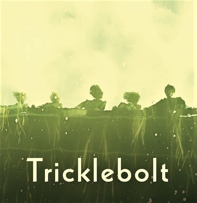 Tricklebolt - Tricklebolt (LP) (Coloured Vinyl)