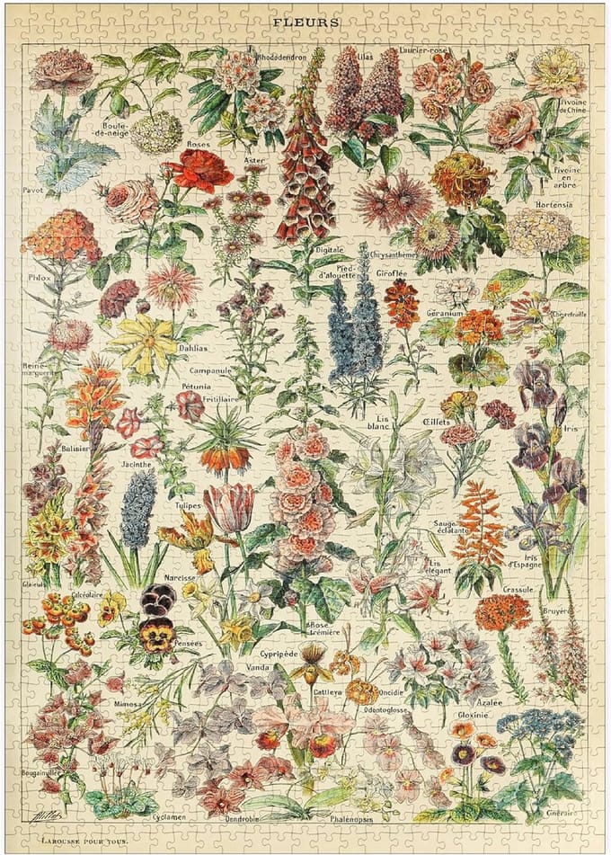 Vintage Bloemenpuzzel 1000 Stukjes - Fleurs van Adolphe Millot