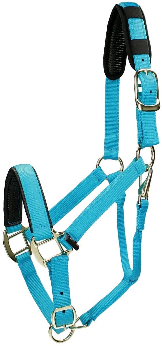 Shires Halster Shires Nylon Topaz Blauw