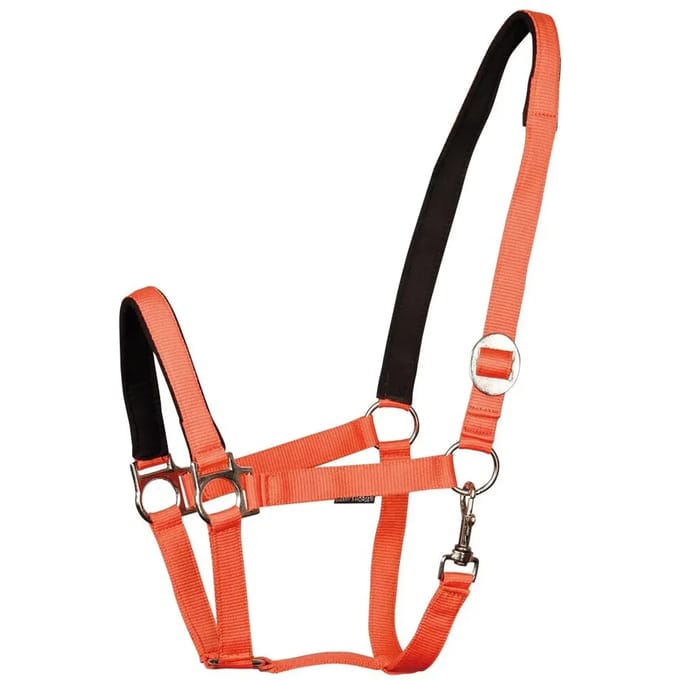 Gewatteerd paardenhalster Harry's Horse
