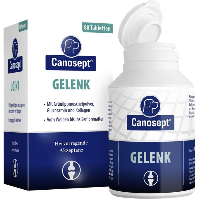 80 Tabletten voor grote honden Canosept gewrichtssupplement voor honden