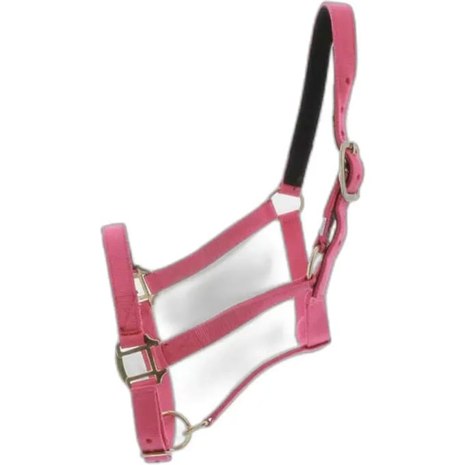 Halster voor paarden Norton Doublé cuir