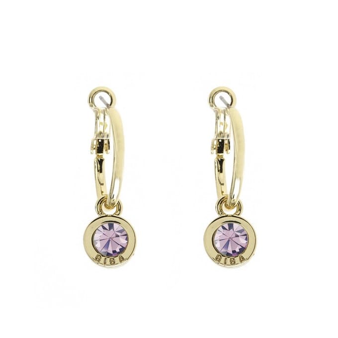 Biba Oorhangers Goud met gekleurde steen Groot Lt. Amethyst