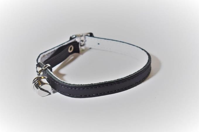 Kattenhalsbandje- leer- zwart-Animal King