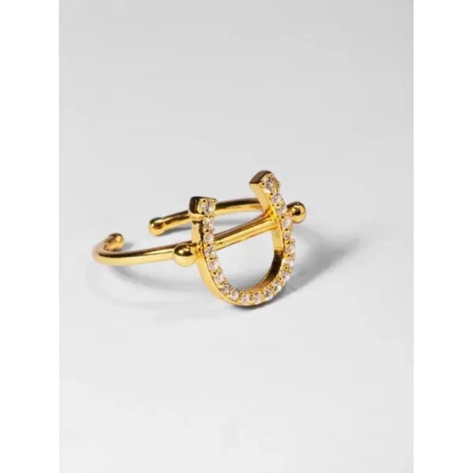 Bague in het ijzer met gaatjes PS of Sweden
