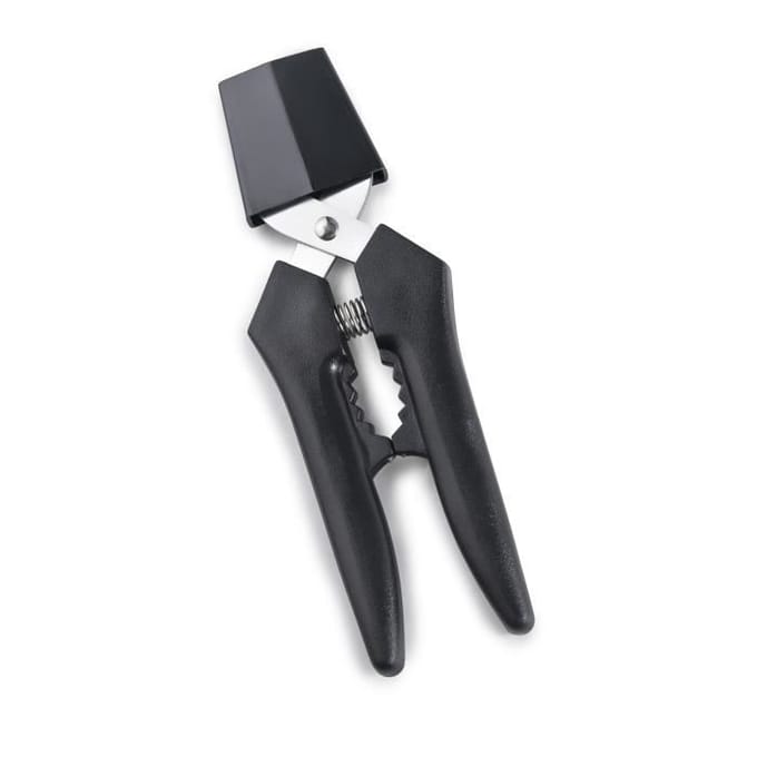 Ibili 8411922451948 Kastanjenschiller, veelkleurig, one size, nylon