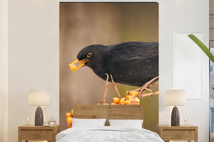 Behang - Fotobehang Vogel - Merel - Winter - IJs - Bes - Breedte 155 cm x hoogte 240 cm