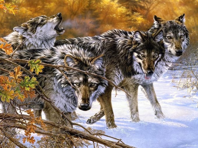 Diamond painting 40x50cm - wolven - ronde steentjes