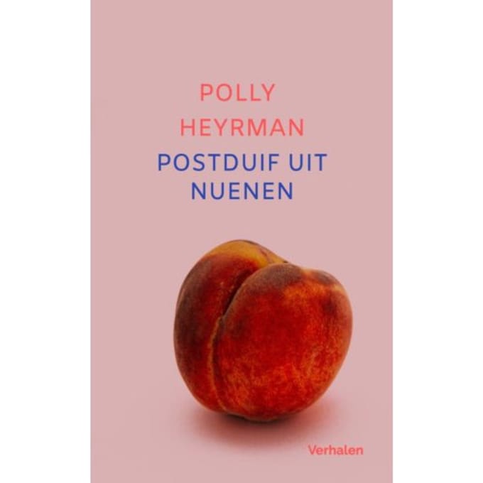 Postduif Uit Nuenen - Polly Heyrman