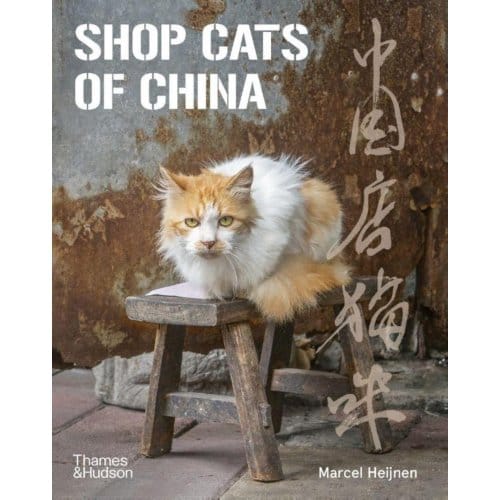 Shop Cats Of China - Marcel Heijnen