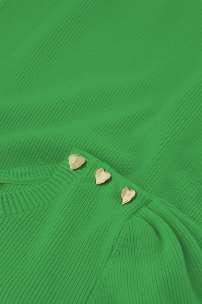 Fabienne Chapot Lillian Short Sleeve Pullover Green Apple Maat: S | Longsleeves Outlet | Dames | Groen