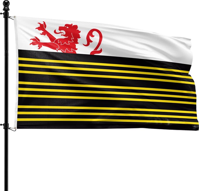 VlagDirect - Eersel vlag - Gemeente Eersel vlag - 90 x 150 cm.