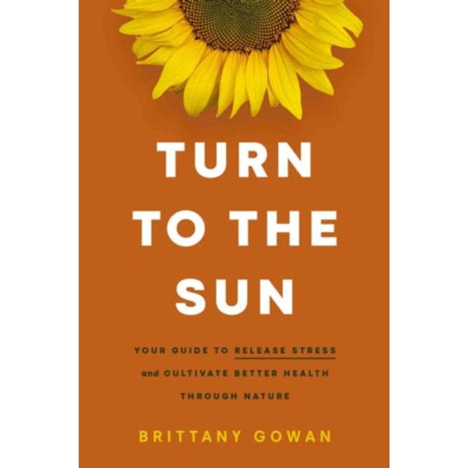 Turn To The Sun - Brittany Gowan