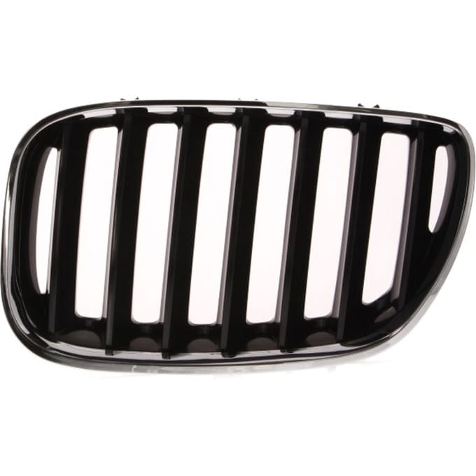 Radiatorrooster BLIC 6502-07-0095995P links