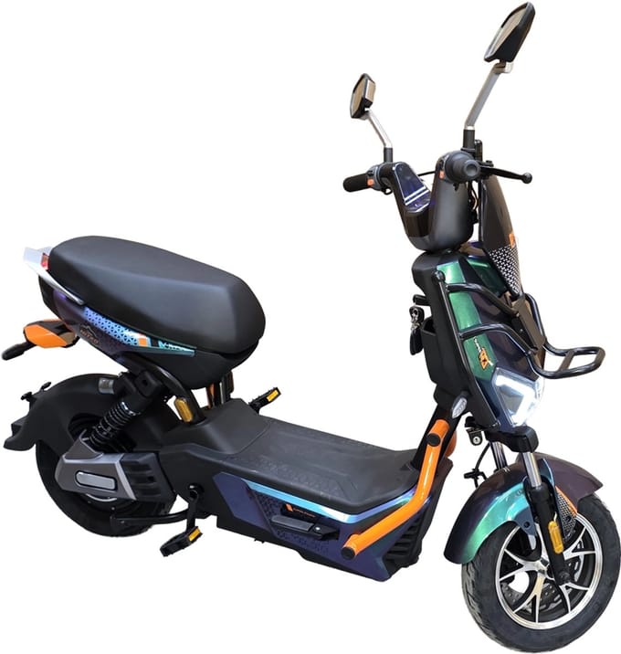 Elektrische Nitro 800W 25 km/u – Actieradius tot 70 km | Ecowielen