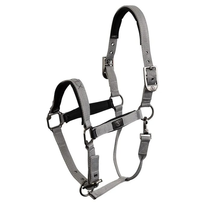 Halster voor paarden BR Equitation CLX