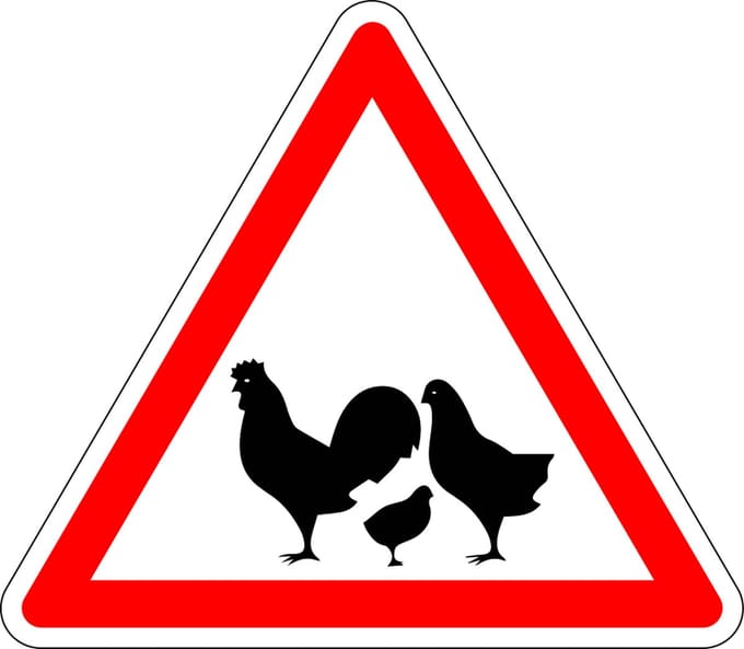 Pas op voor kippen sticker 100 mm
