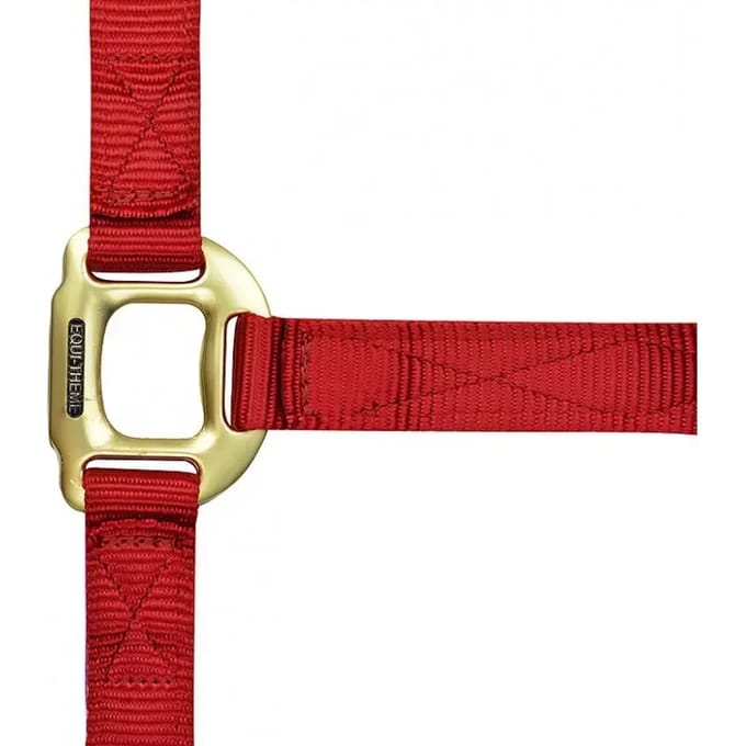 Halster voor paarden Equithème Nylon