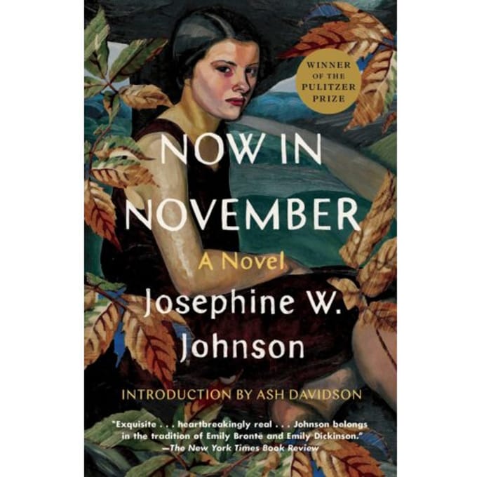 Now In November - Josephine Johnson