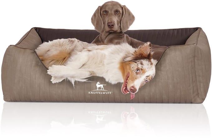 Knuffelwuff Orthopedisch hondenbed Outlander van laser-gewatteerd kunstleer XL 105 x 75cm