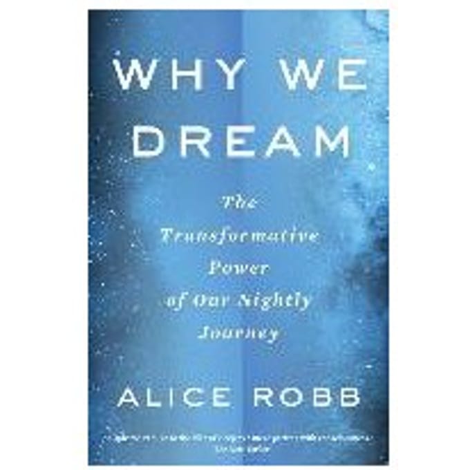 Why We Dream - Robb Alice Robb