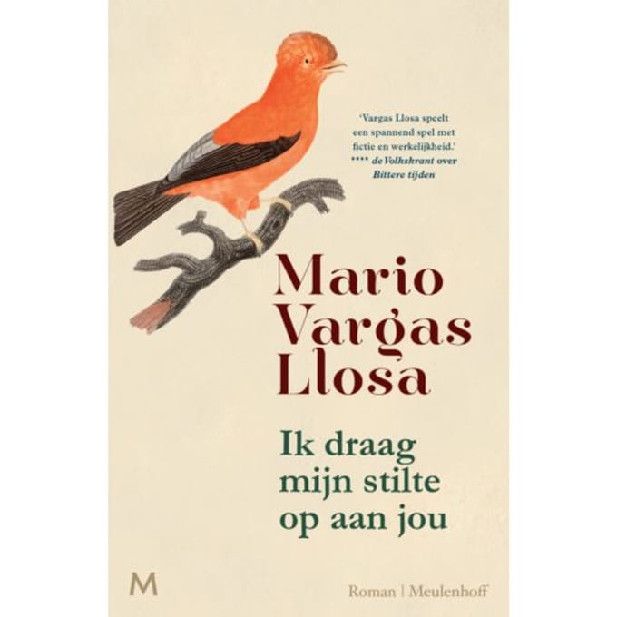 Ik Draag Mijn Stilte Op Aan Jou - Mario Vargas Llosa