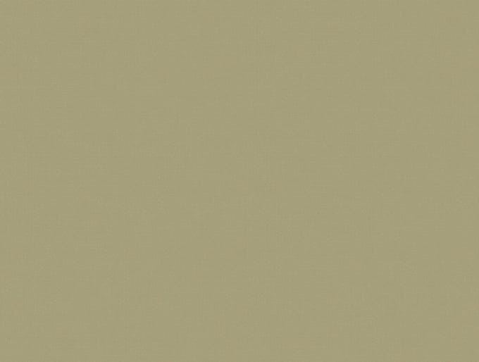 Zambaiti Vinylbehang Z54513 - Fuksas - Uni Groen - 70cm x 10.05m
