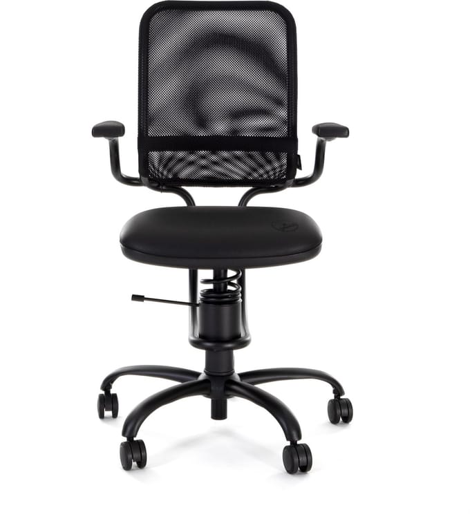 Spinalis Ergonomic Ergonomische bureaustoel - balansstoel zwart