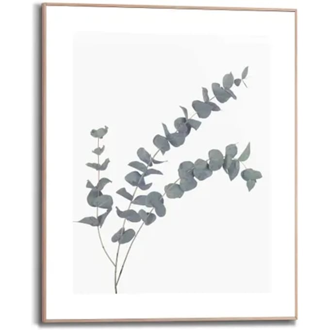 Schilderij Eucalyptus - 50 x 40 - Hout - REINDERS