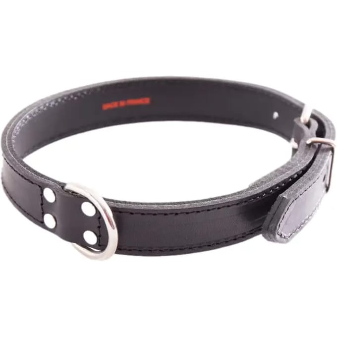 Hondenhalsband Sellerie Canine Vendéenne Surpiq