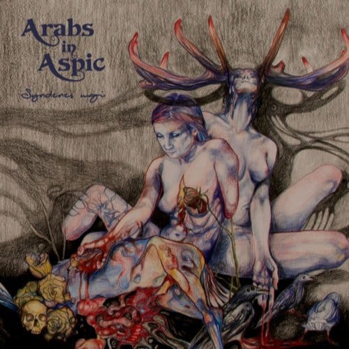 Syndenes Magi - Arabs In Aspic