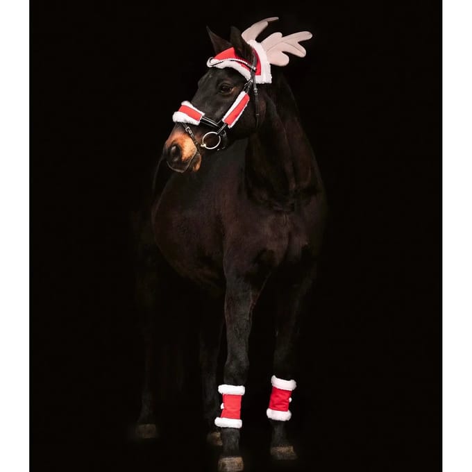 Kerstset Voor Paarden - Bijna Uitverkocht!