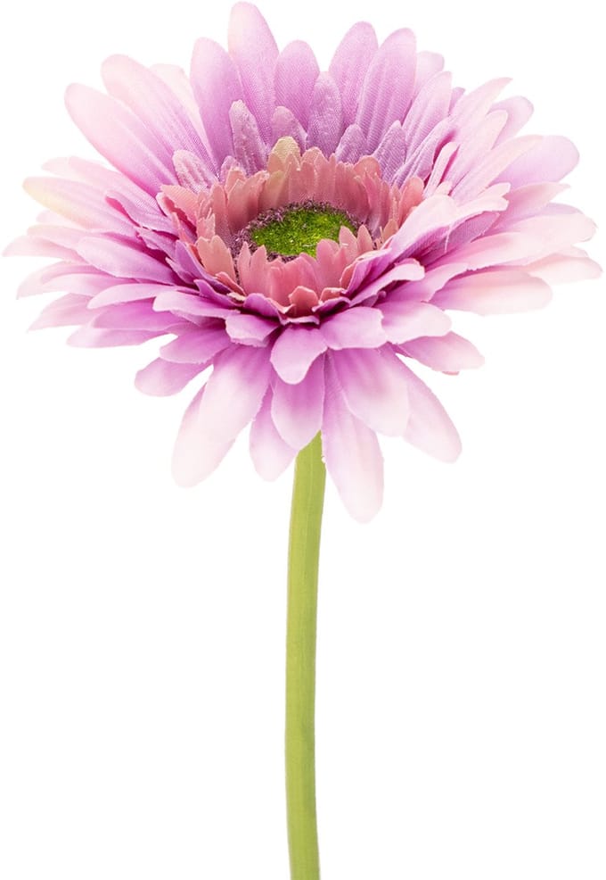 Kunstmatige gerbera's voor in de tuin, paars, 47 cm, 6 stuks, 6 Stück
