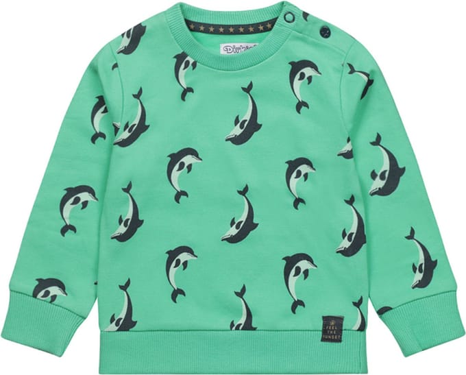 Dirkje-Jongens Sweater ls-Licht groen