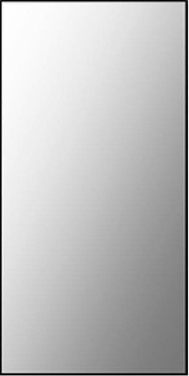 Plieger Basic spiegel sanitair 60x30cm
