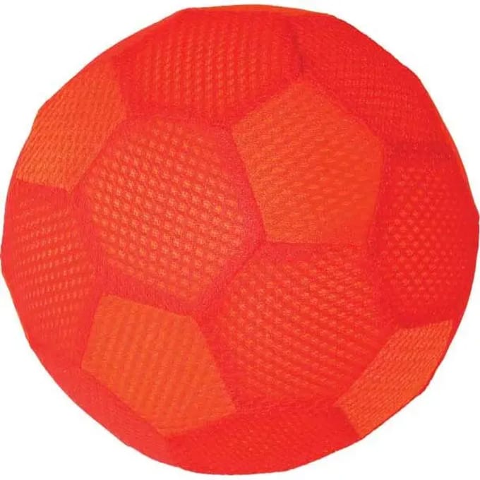 Zaalbal Pre-Sport