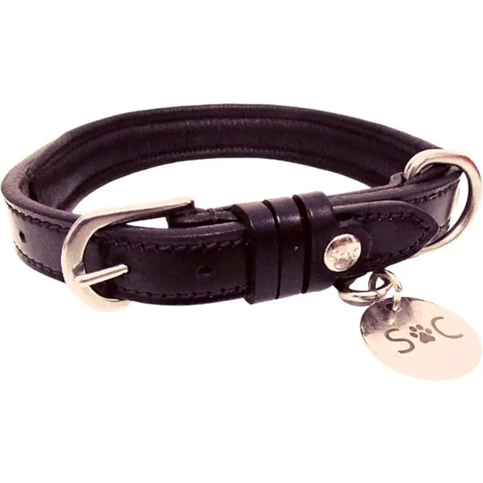Hondenhalsband Silver Crown JO