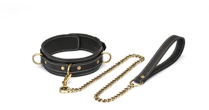 Liebe Seele - Warrior Princess - Stoere Lederen Collar met Messing Hardware - Zwart - Uit Japan