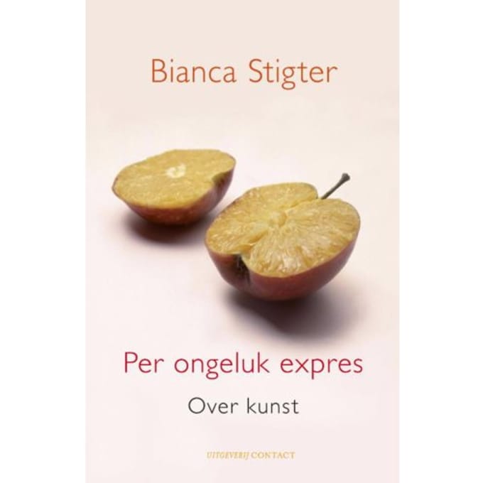 Per Ongeluk Expres - Bianca Stigter