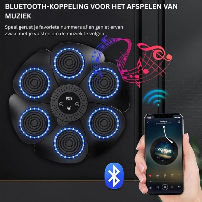 CRLYN® Boksmachine - Boksbal - Bokstas - Zwart