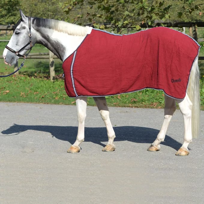 Terrycloth Paarden Shirt Daslö