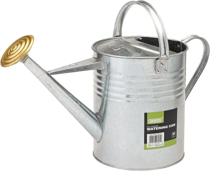 Gegalvaniseerde Gieter 9L - Traditionele Watergever van Staal