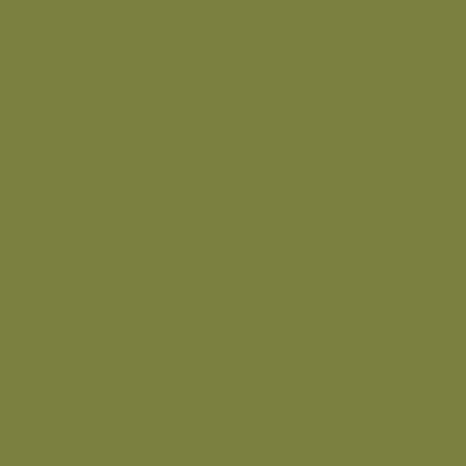 Derwent Inktense Olivine (1340)
