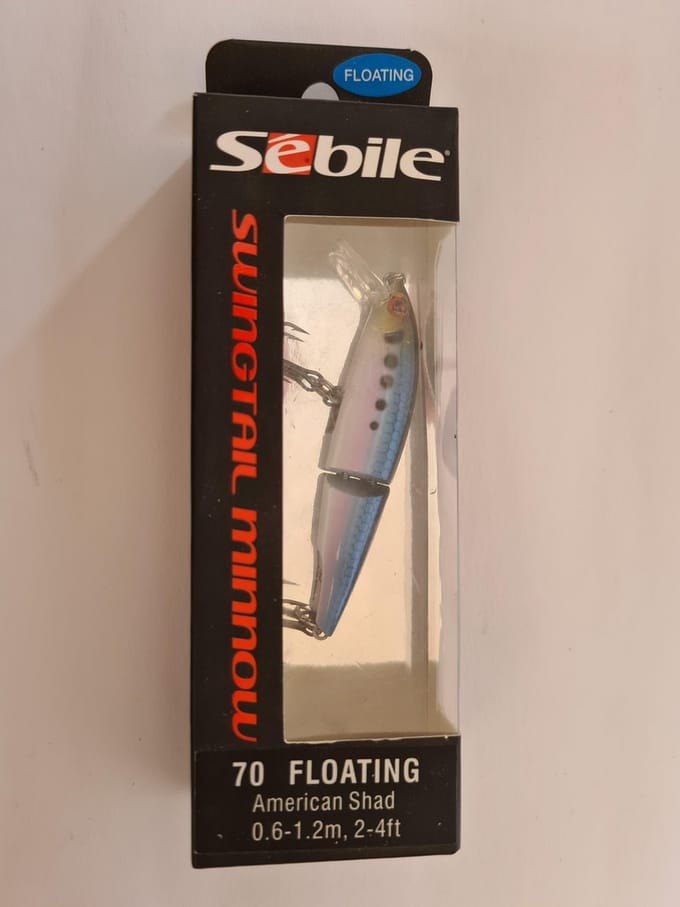 Sebile  - American shad - 0.6-1.2m
