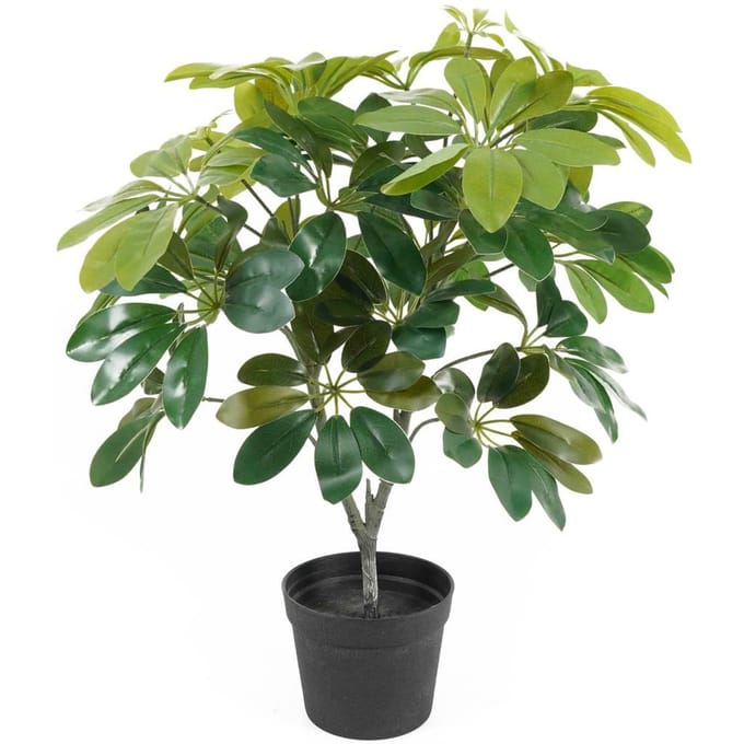 Present Time Kunstplant Shefflera - Groen - 40x40x48cm - Modern
