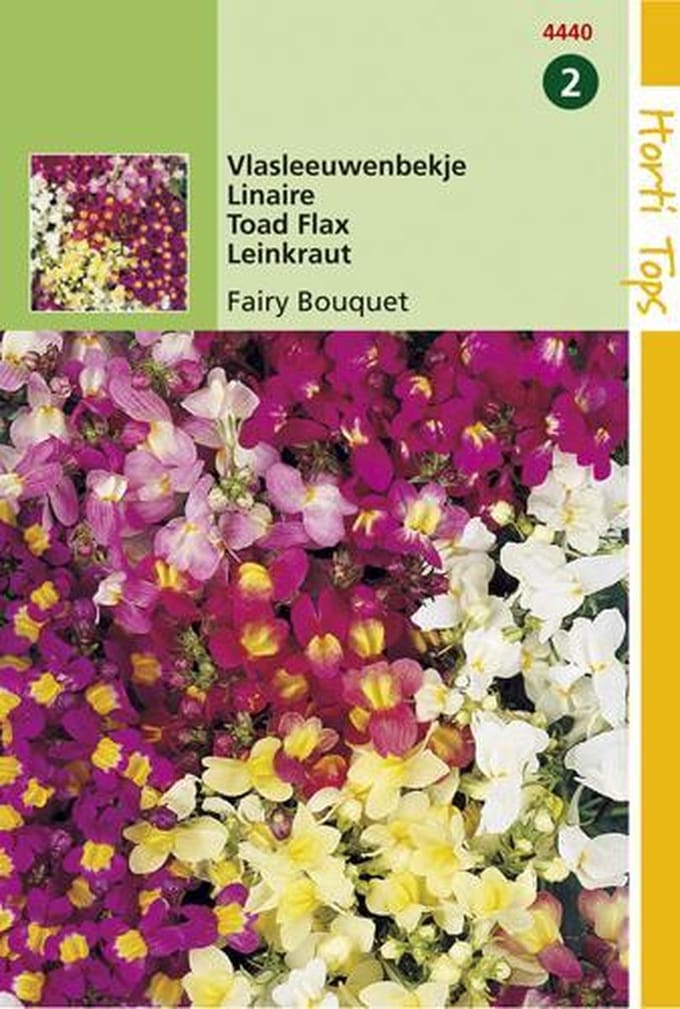 Hortitops Zaden - Linaria Maroccana Fairy Bouquet Gem.