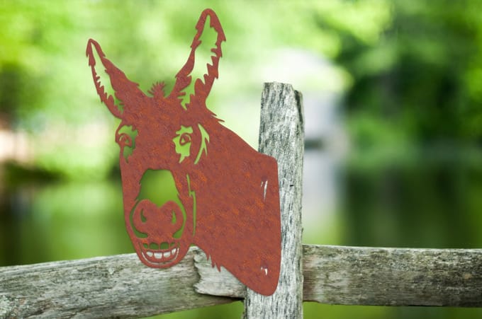 Kiekeboe Ezel/ Donkey Beppo, 141642, Roest, 20,9x30,9x0,2cm